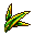 Long Leaf