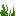 Seagrass